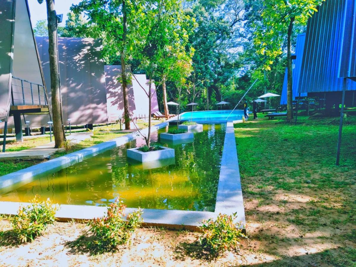 Kottawatta River Bank Resort اوداوالاوي المظهر الخارجي الصورة