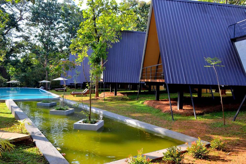 Kottawatta River Bank Resort اوداوالاوي المظهر الخارجي الصورة